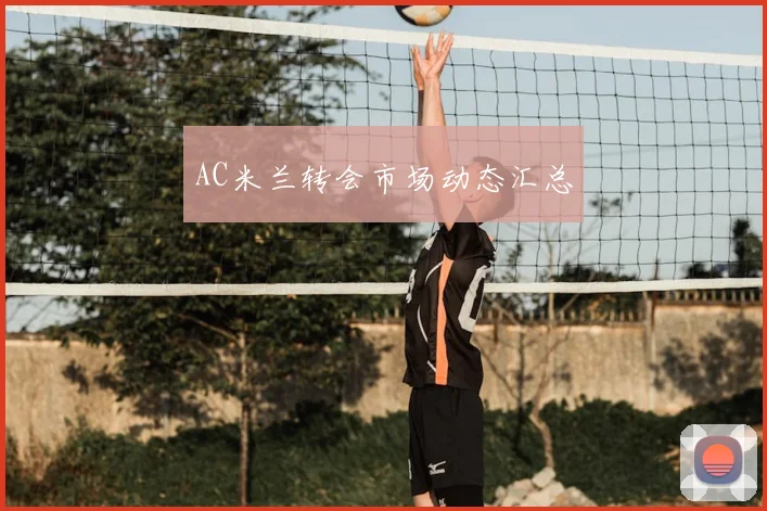 AC米兰转会市场动态汇总