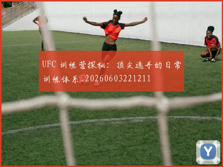 UFC 训练营探秘：顶尖选手的日常训练体系_20260603221211
